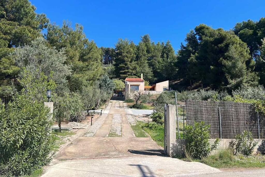 Askalosia Villa Agios Georgios  Exteriör bild