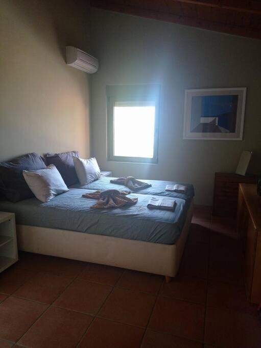 Askalosia Villa Agios Georgios  Exteriör bild