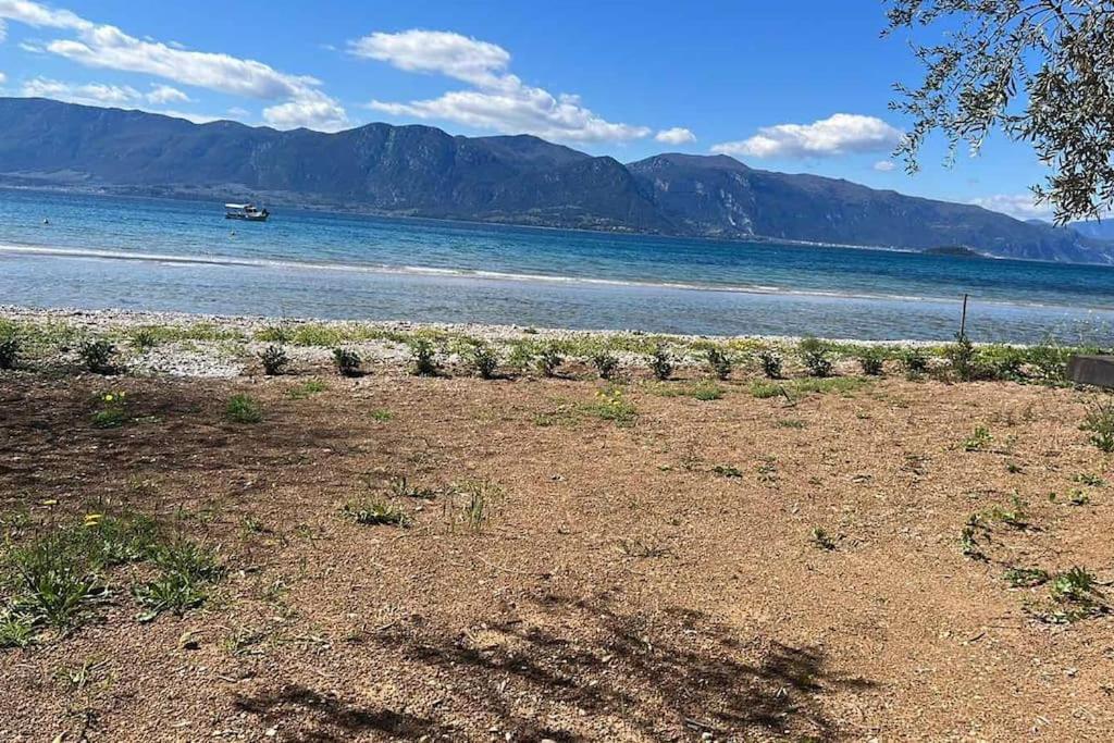 Askalosia Villa Agios Georgios  Exteriör bild