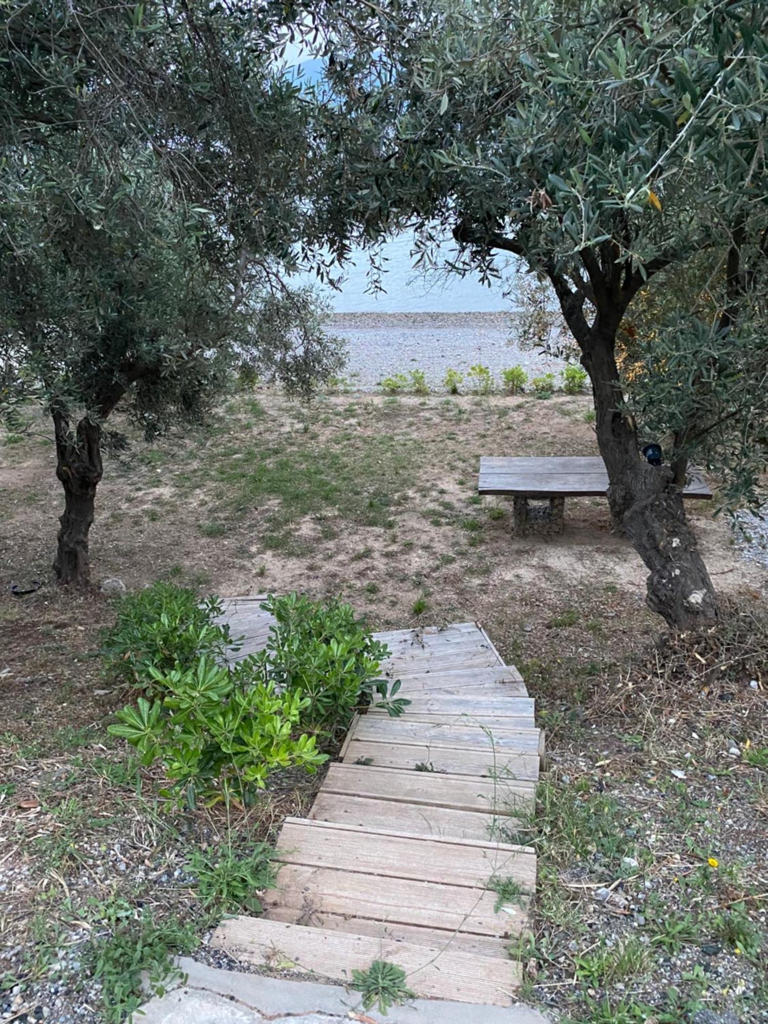 Askalosia Villa Agios Georgios  Exteriör bild