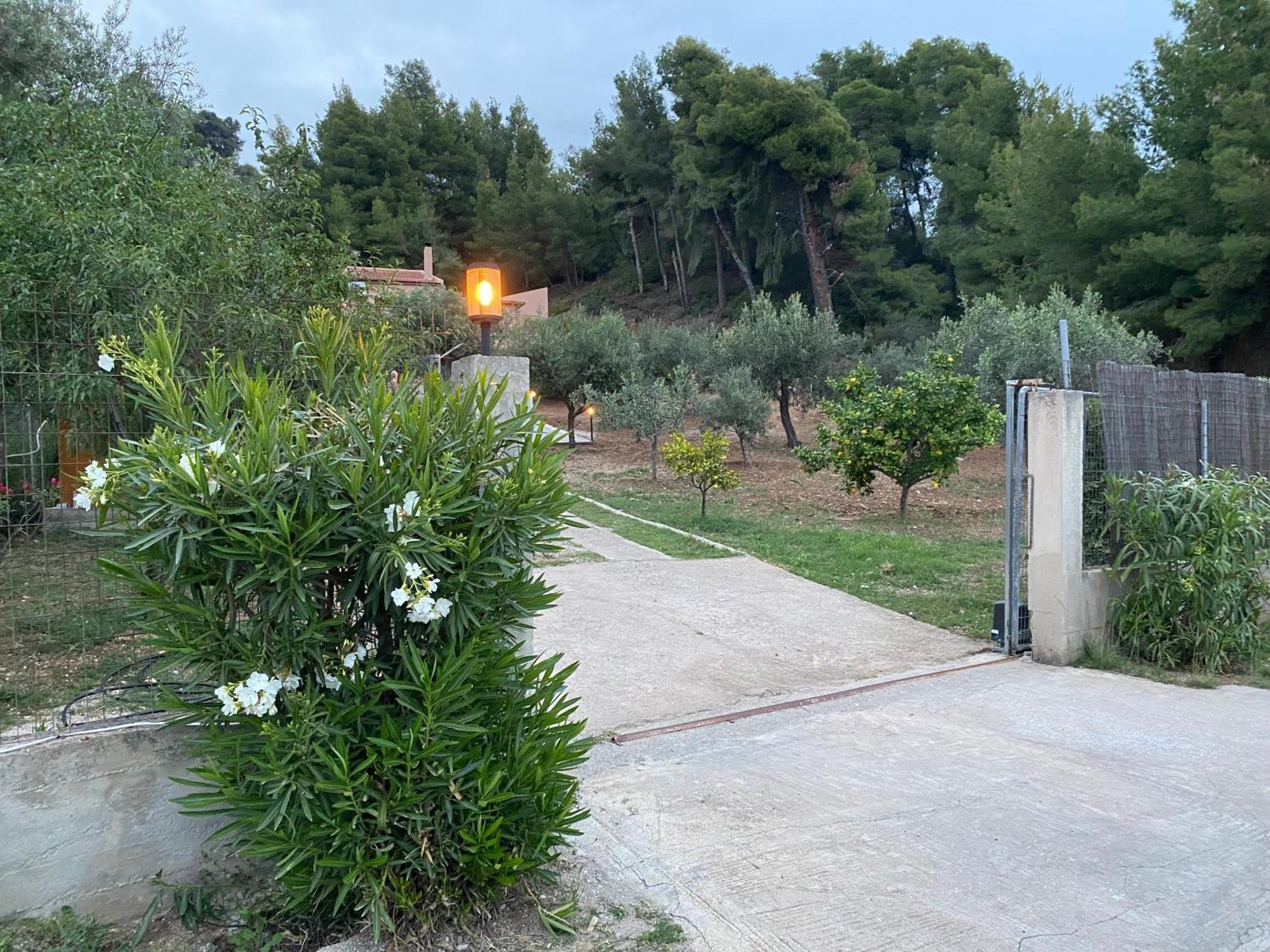 Askalosia Villa Agios Georgios  Exteriör bild
