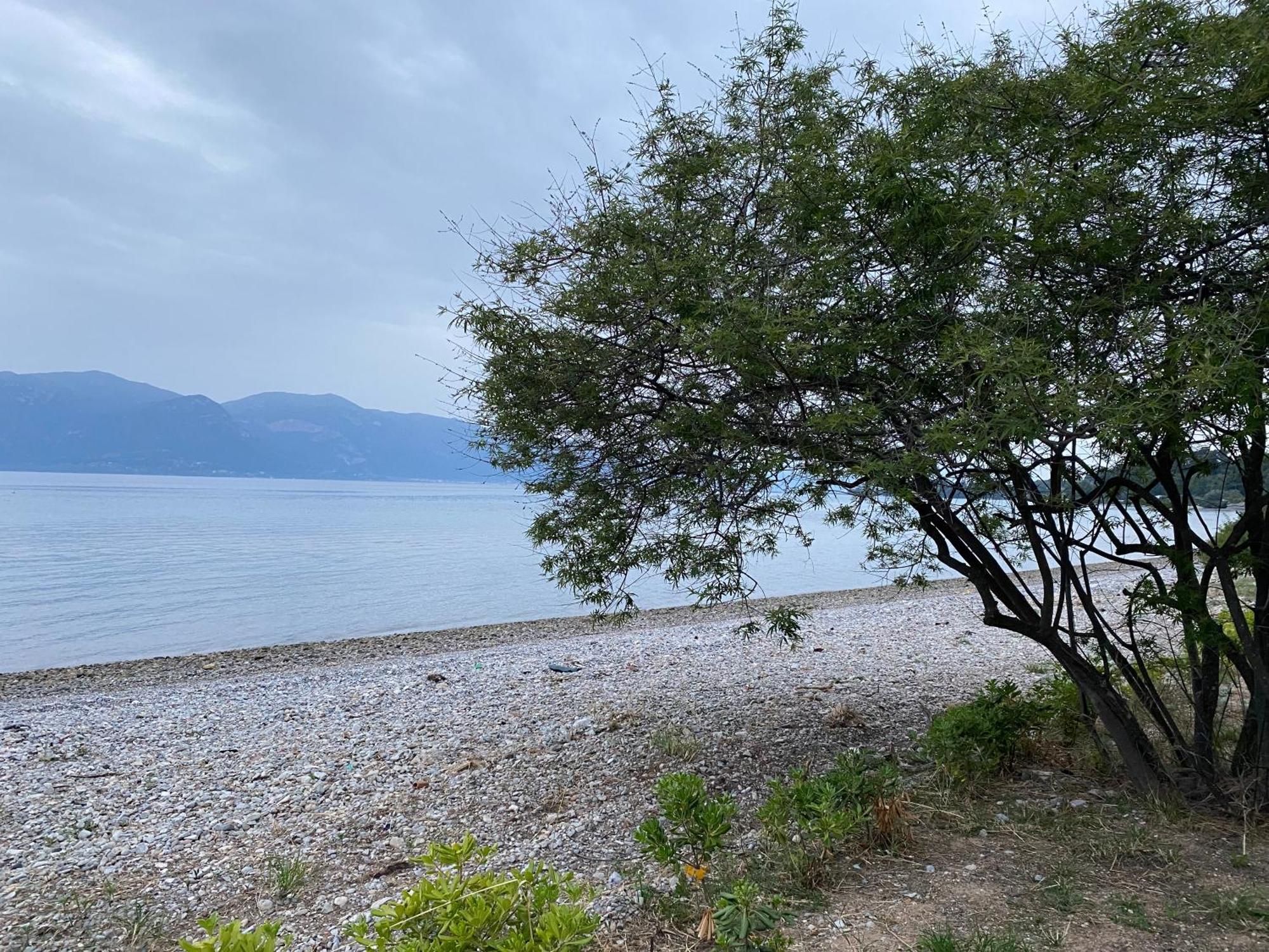 Askalosia Villa Agios Georgios  Exteriör bild