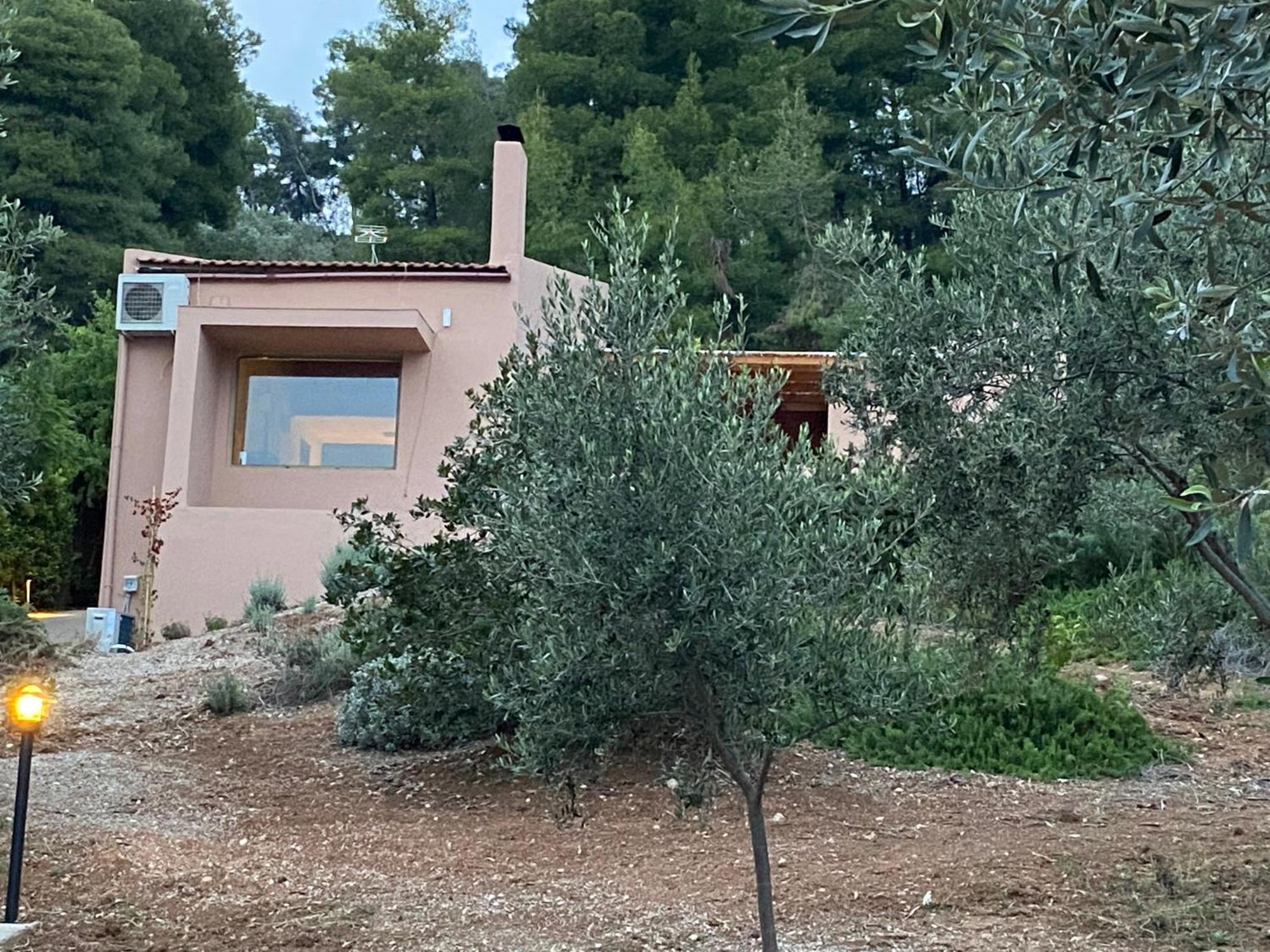 Askalosia Villa Agios Georgios  Exteriör bild
