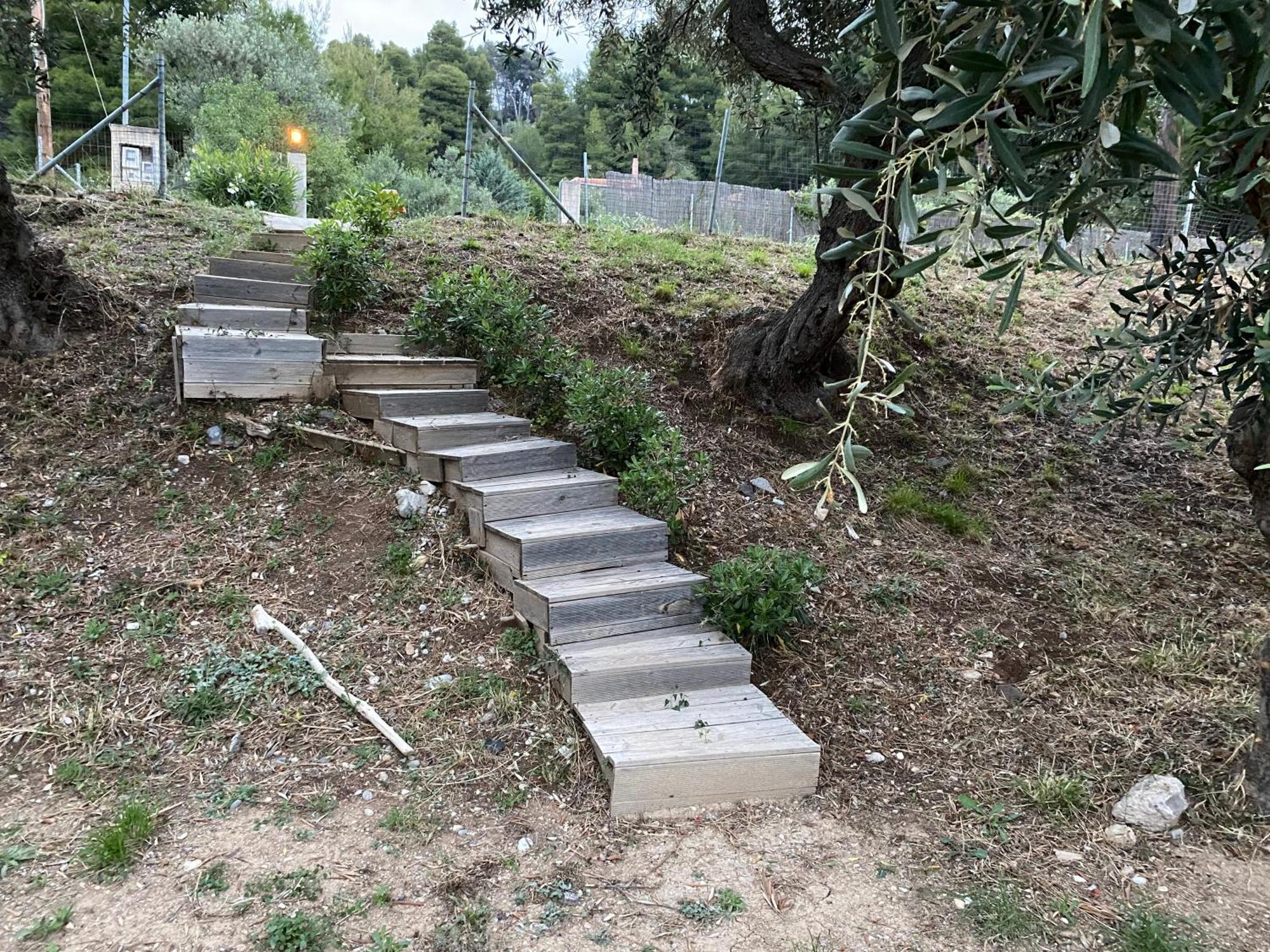 Askalosia Villa Agios Georgios  Exteriör bild