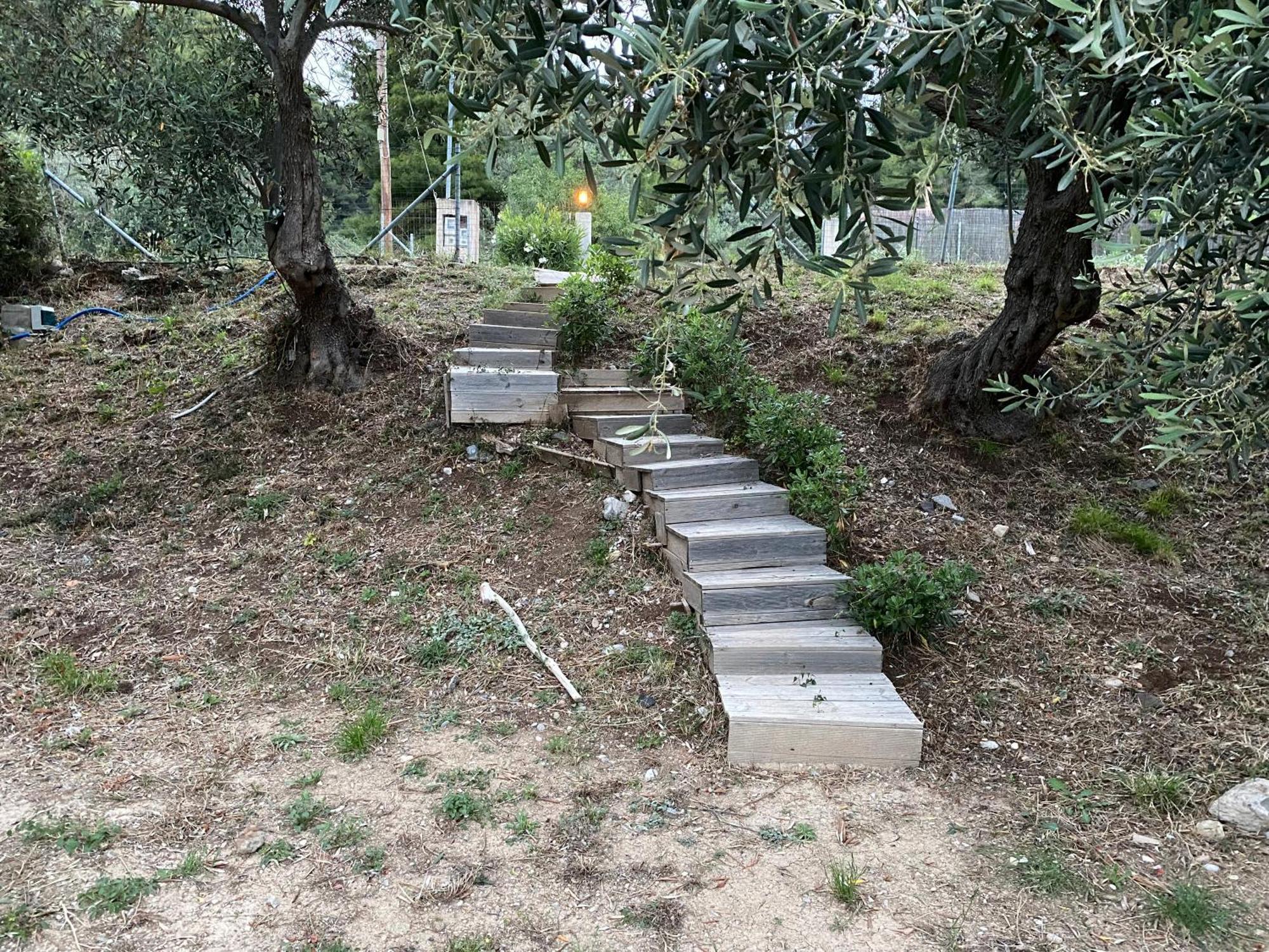 Askalosia Villa Agios Georgios  Exteriör bild