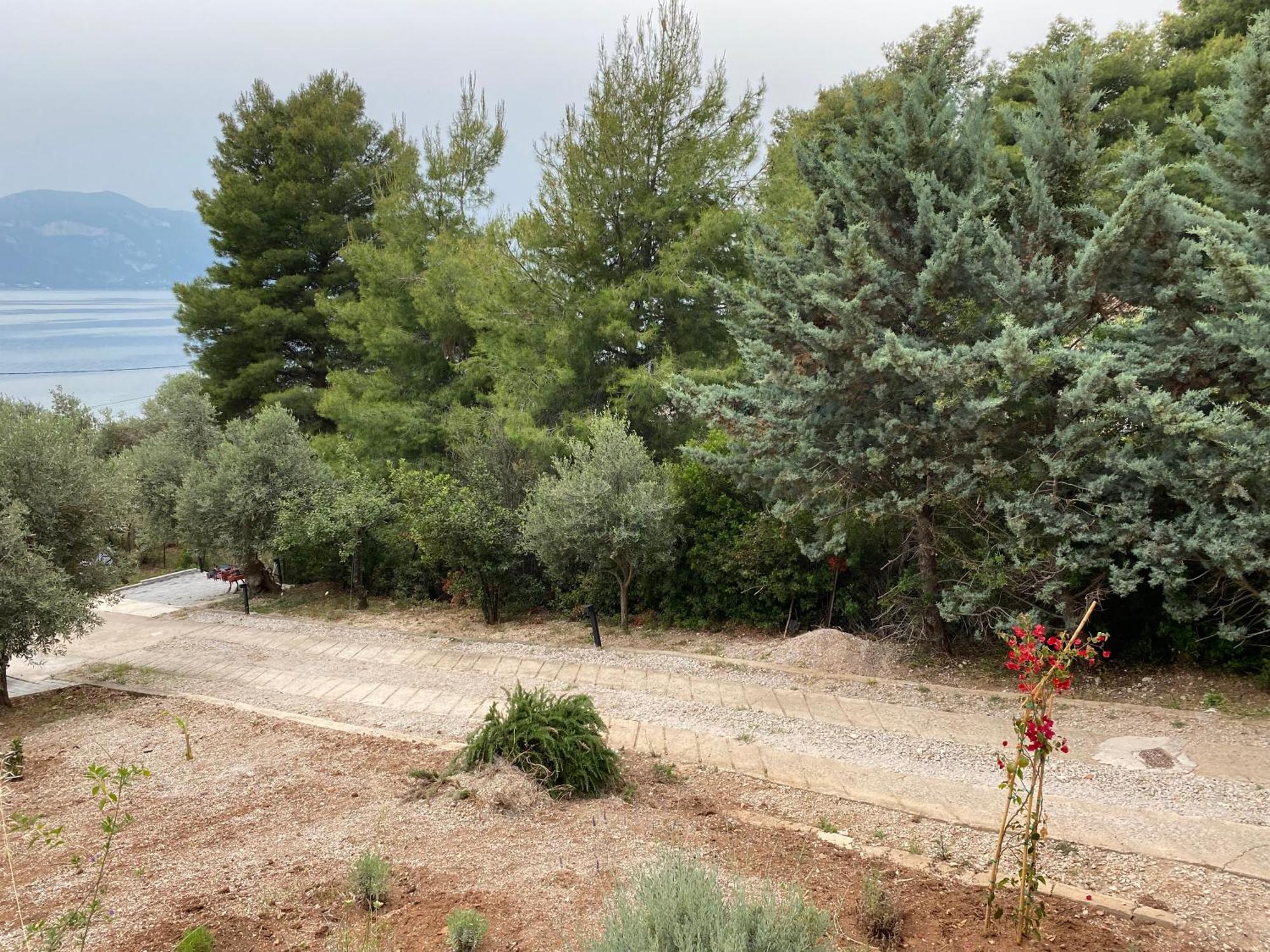 Askalosia Villa Agios Georgios  Exteriör bild