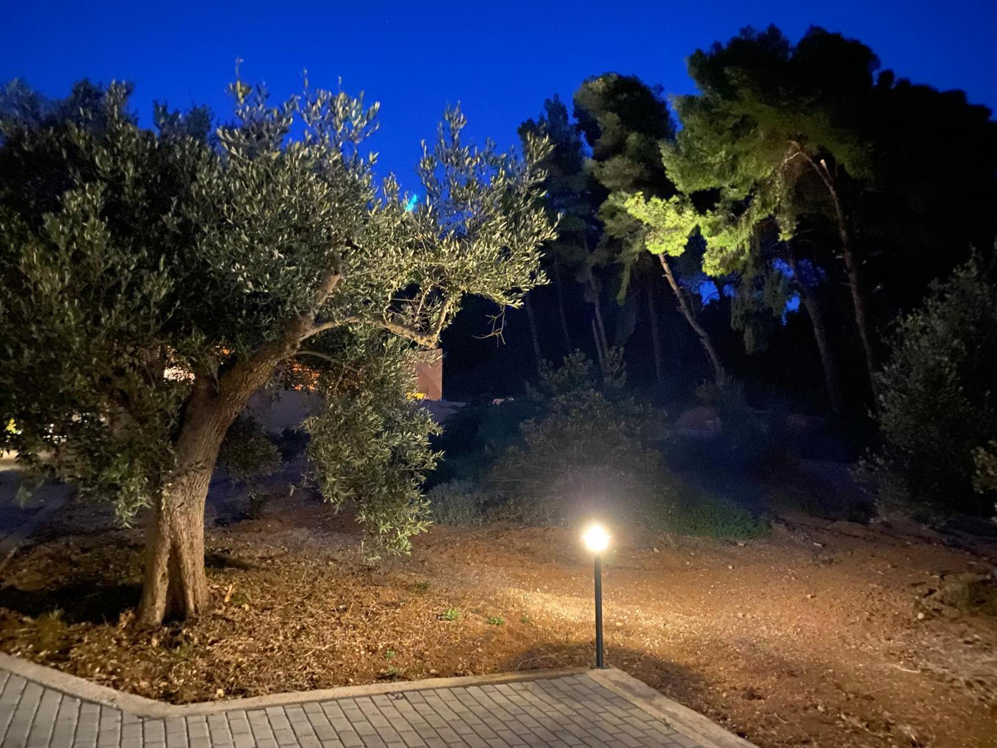 Askalosia Villa Agios Georgios  Exteriör bild